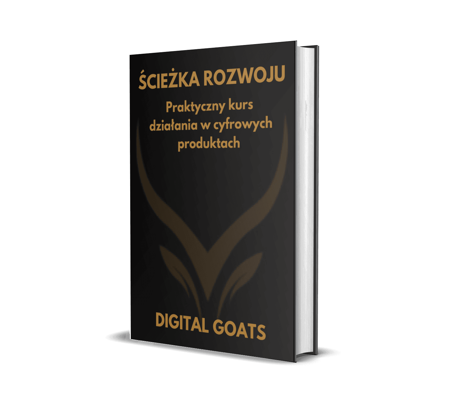 Grafika 3D książki z tytułem 